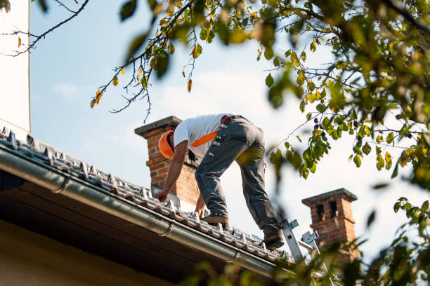 Best Local Roofing Companies  in Iuka, MS