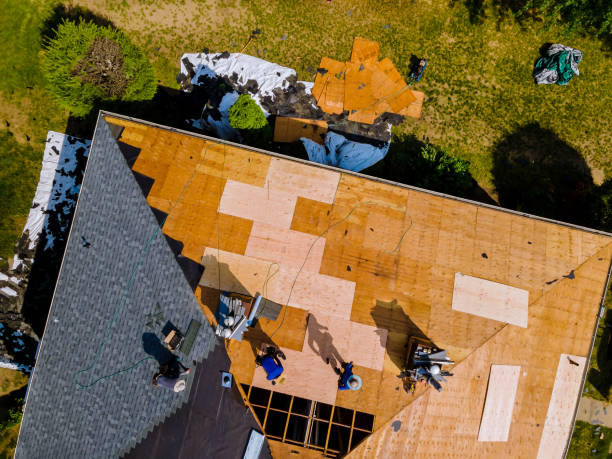 Best Metal Roofing Contractor  in Iuka, MS