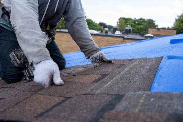 Best Flat Roof Repair Services  in Iuka, MS